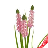 Маленькое фото 5: Мускари на вставке, 30см, светло-розовый. Сервис доставки цветов AzaliaNow