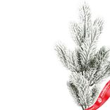 Маленькое фото 4: Ветка еловая заснеженная, 48см, белый