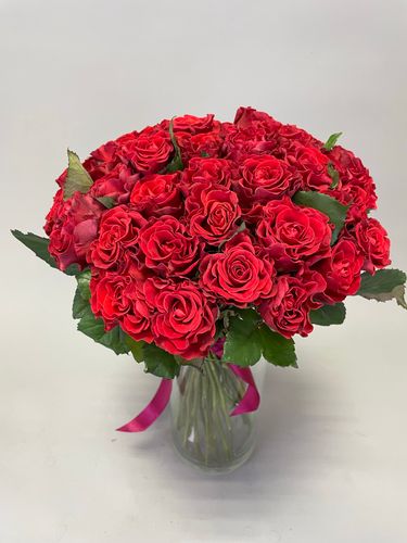 Показать все изображения