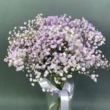 Фото флориста 1: Букет из 5 сиреневых гипсофил с фиолетовой лентой