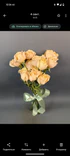 Фото флориста 6: Роза кустовая микс, Голландия