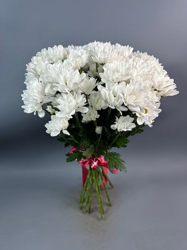 Фото флориста 4: Хризантемы кустовые
