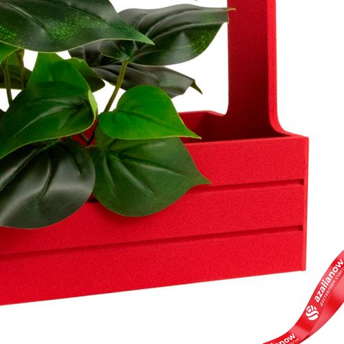 Фото 4: Корзина (дерево), 21х12х23см, красный