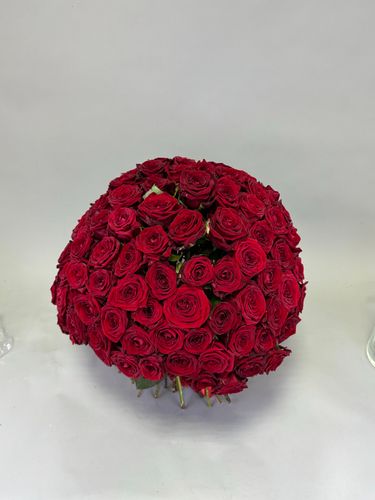 Показать все изображения