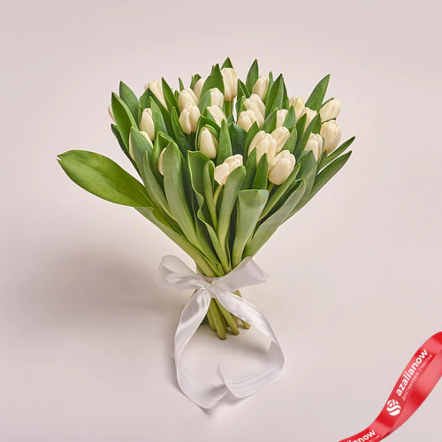 Фото 1: 25 белых тюльпанов, Россия. Сервис доставки цветов AzaliaNow