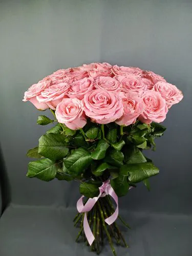 Показать все изображения