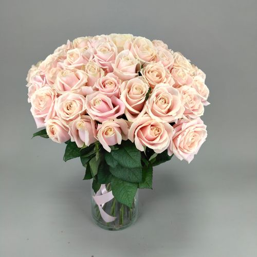 Показать все изображения