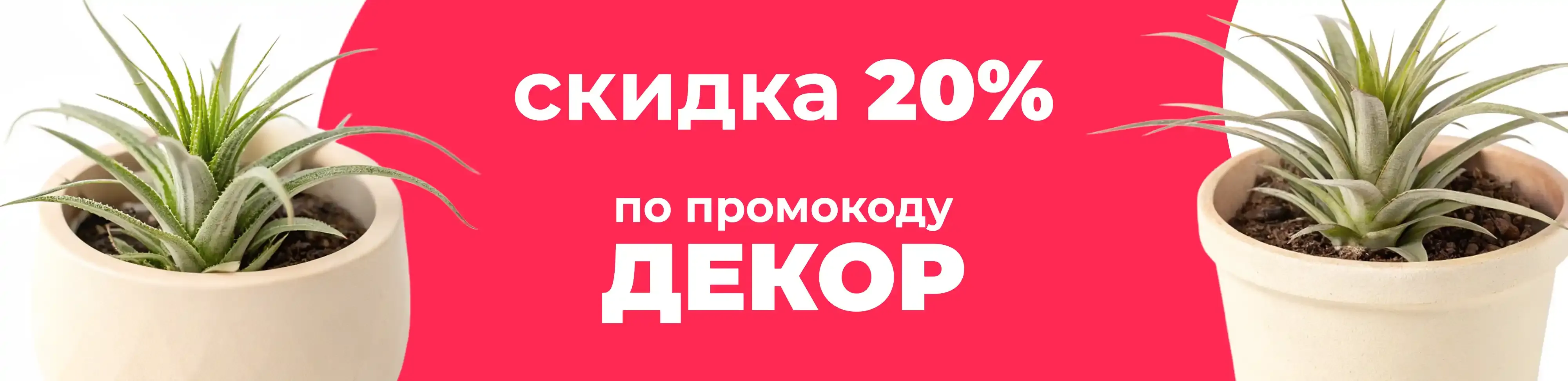 Баннер для рубрики: Кашпо для тилландсии