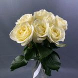 Фото флориста 1: Букет из 7 белых роз с лентой, 50 см