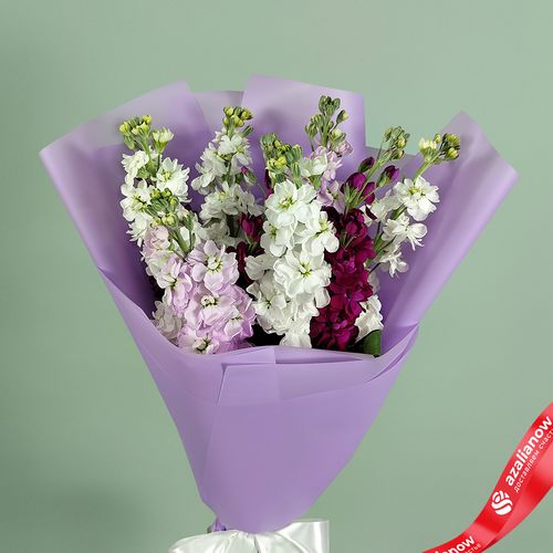 Фото 2: Букет из 9 маттиол микс в сиреневой пленке