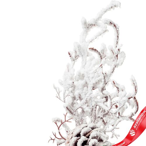 Фото 2: Ветка кедровая заснеженная, 36см