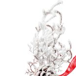 Маленькое фото 2: Ветка кедровая заснеженная, 36см