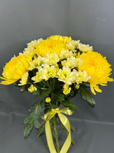 Фото флориста 2: Премиум-ромашки