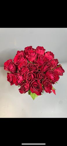 Показать все изображения