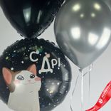 Маленькое фото 3: Композиция из 4 шаров с гелием «С ДР (котик)», черный, серебряный