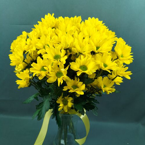 Фото флориста 1: Хризантемы