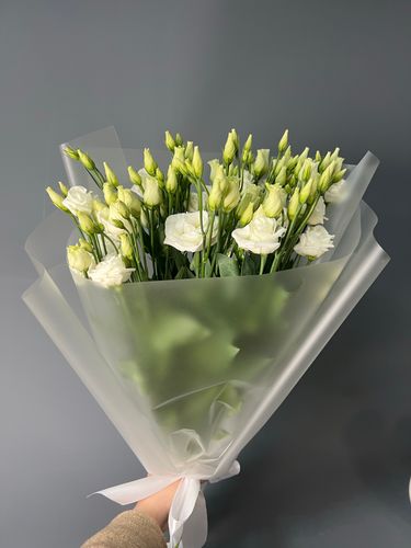 Фото флориста 1: Цветы метро Волгоградский проспект