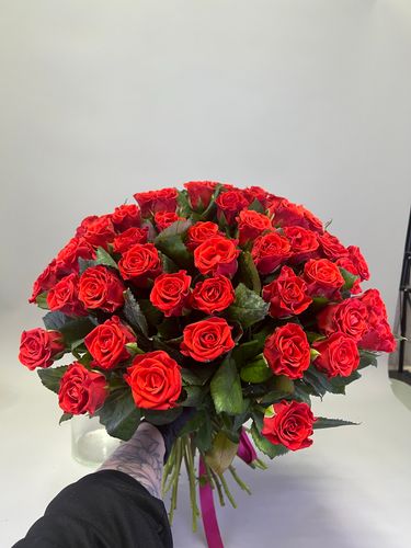 Показать все изображения