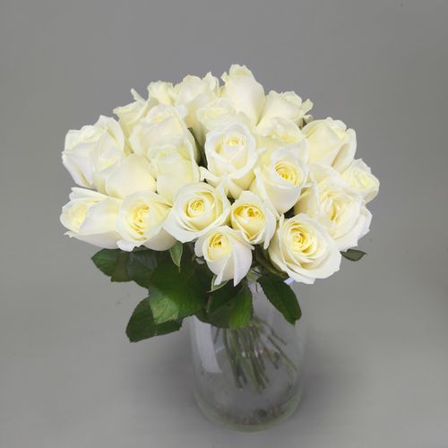 Фото флориста 1: Белые розы