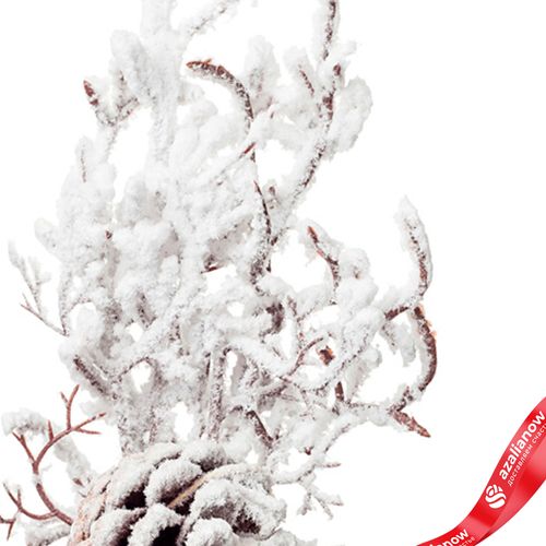 Фото 3: Ветка кедровая заснеженная, 36см