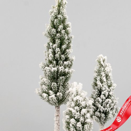 Фото 2: Елочки искусственные заснеженные на подставке, Н35х17х17см, зеленый/белый