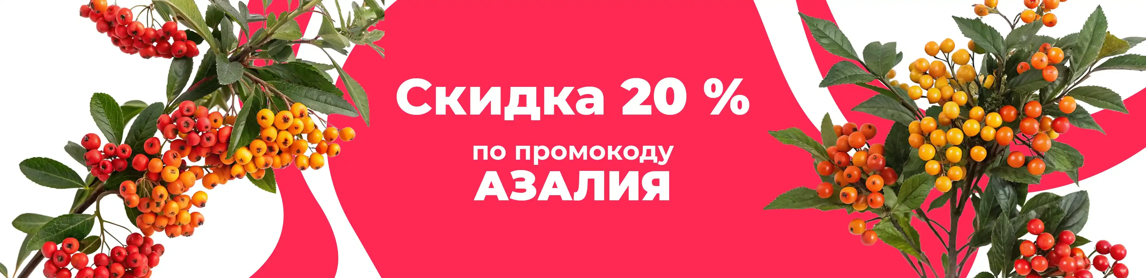 Баннер для рубрики: Декоративные ветки