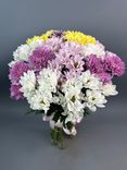 Фото флориста 1: 15 кустовых хризантем микс, Голландия