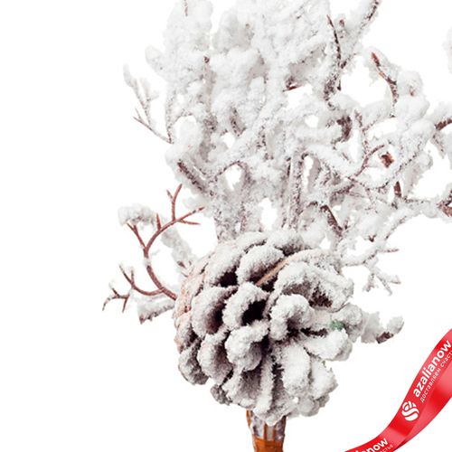 Фото 4: Ветка кедровая заснеженная, 36см