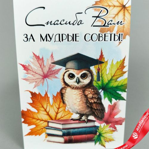 Открытка «Спасибо Вам за мудрые советы», 7х10 см