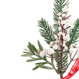 Маленькое фото 4: Ветка еловая с ягодами, H30 см, белый