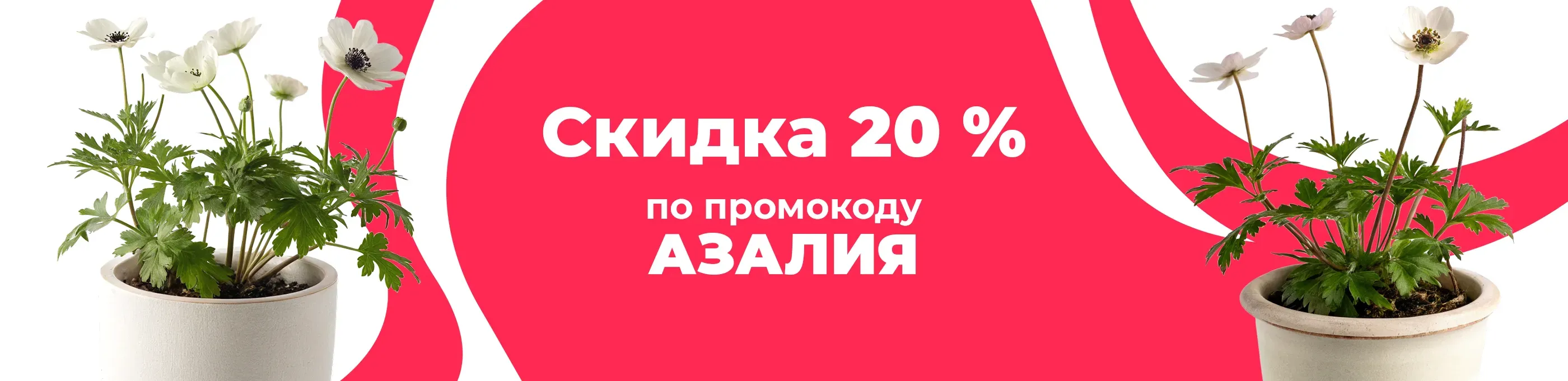 Баннер для рубрики: Цветы для сада