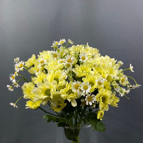 Фото флориста 2: Букеты ромашек