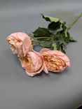 Фото флориста 6: Роза кустовая микс, Голландия