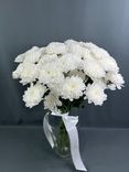 Фото флориста 2: Букет из 9 кустовых белых хризантем с лентой, Ромашка, Голландия