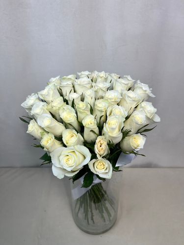 Показать все изображения
