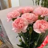 Маленькое фото 2: Букет из 9 розовых гвоздик в пленке. Сервис доставки цветов AzaliaNow
