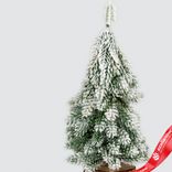 Маленькое фото 2: Ель искусственная заснеженная, Н19х8х8см, зеленый/белый