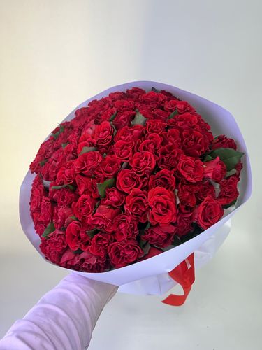 Показать все изображения