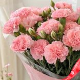 Маленькое фото 4: Букет из 25 розовых гвоздик в пленке