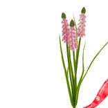 Маленькое фото 2: Мускари на вставке, 30см, светло-розовый. Сервис доставки цветов AzaliaNow