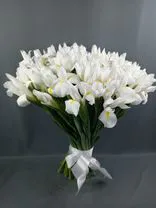 Фото флориста 3: Букет из 25 белых ирисов с лентой