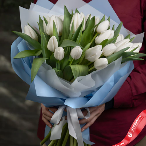Фото 1: Букет из 21 белого тюльпана в голубой и белой упаковке. Сервис доставки цветов AzaliaNow