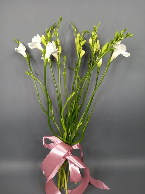 Фото флориста 3: Фрезии