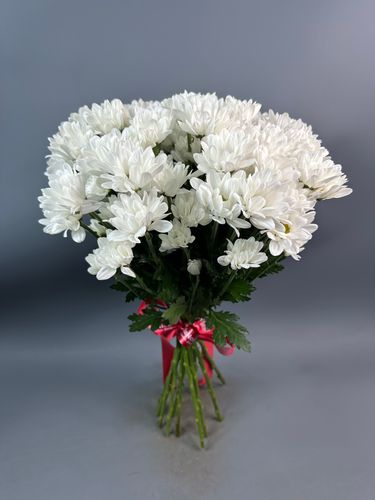Фото флориста 3: Хризантемы кустовые