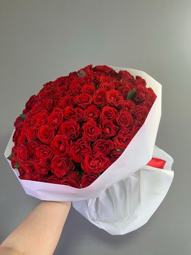 Показать все изображения