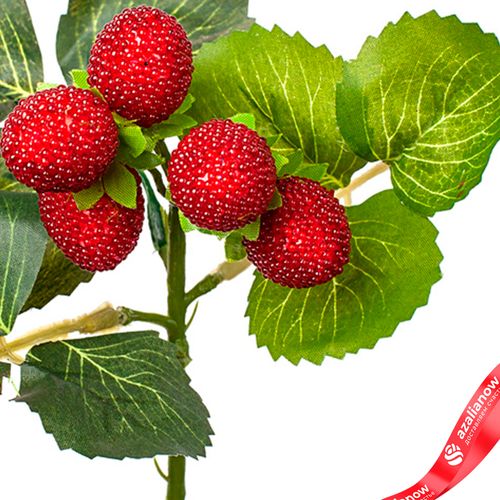 Фото 3: Ветка малины, 28см, красный