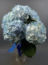 Фото флориста 3: Букет из 5 голубых гортензий