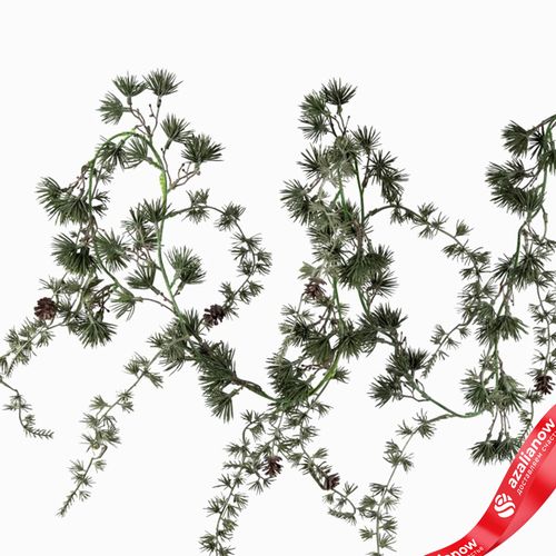 Фото 2: Гирлянда сосновая с шишками, 180см, зеленый