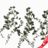 Маленькое фото 2: Гирлянда сосновая с шишками, 180см, зеленый