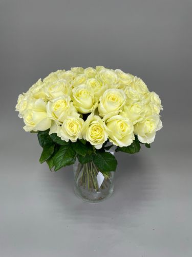 Показать все изображения